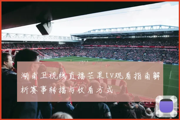 湖南卫视线直播芒果tv观看指南解析赛事转播与收看方式