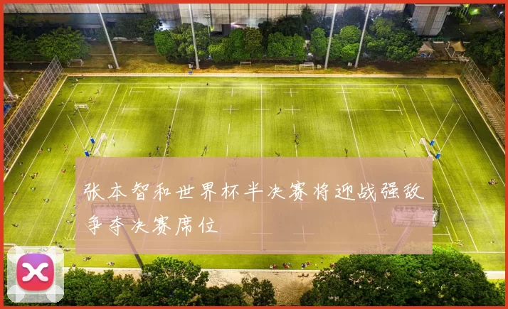 张本智和世界杯半决赛将迎战强敌争夺决赛席位
