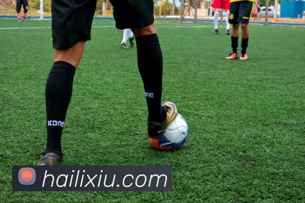 奇异果app官网入口 - 奇异果(中国)平台生态图