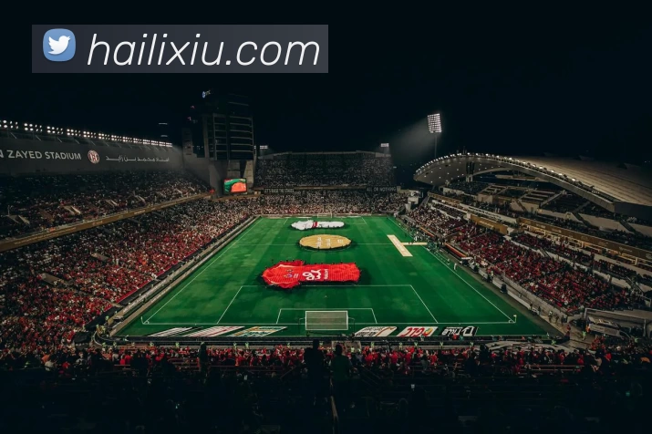 奇异果app官网入口 - 奇异果(中国)APP 封面图